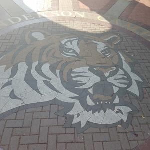 Meet your Posher, Fannie